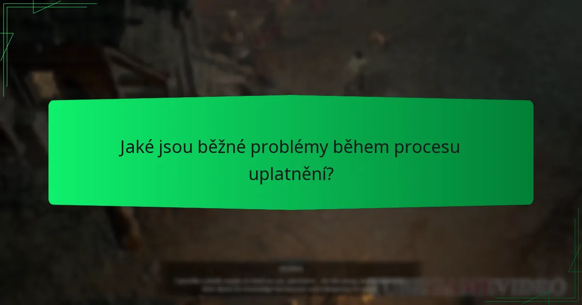 Jaké jsou běžné problémy během procesu uplatnění?