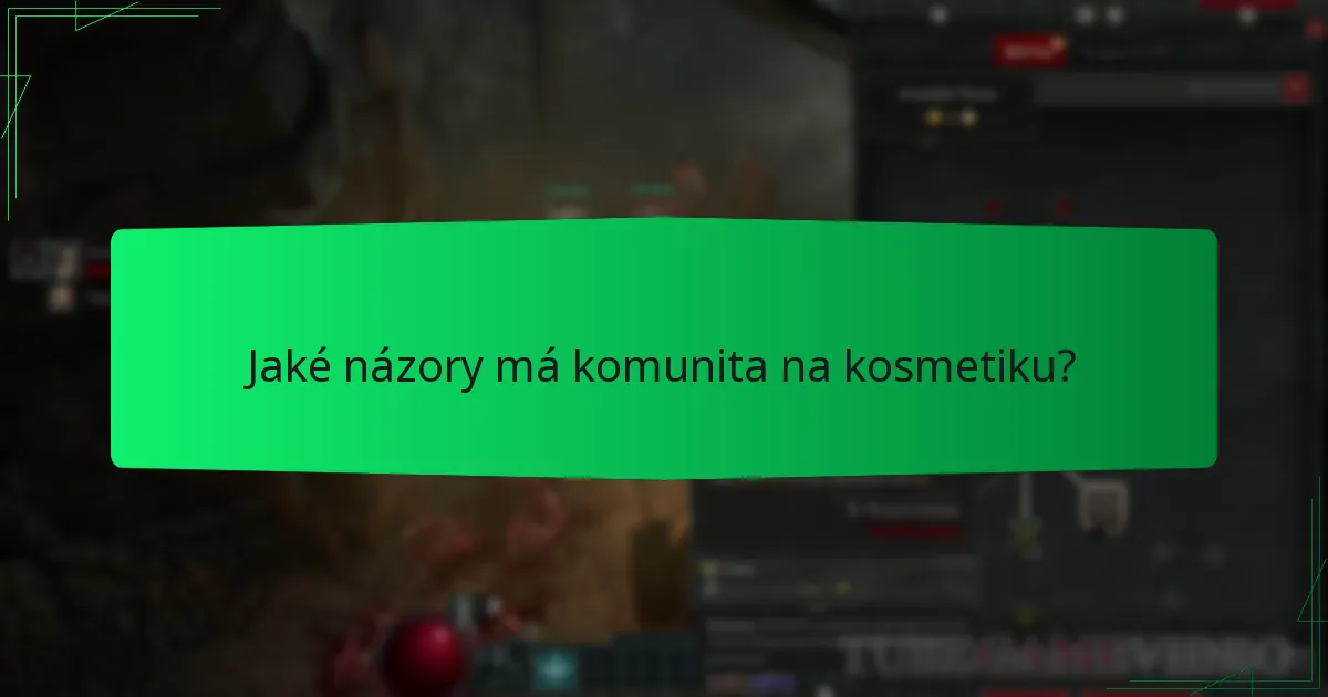 Jaké názory má komunita na kosmetiku?
